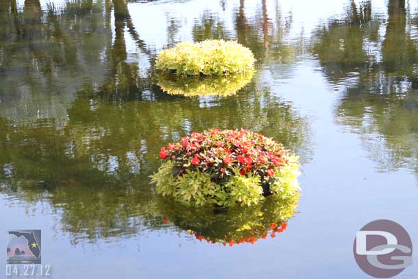 A random shot of the floating flowers.