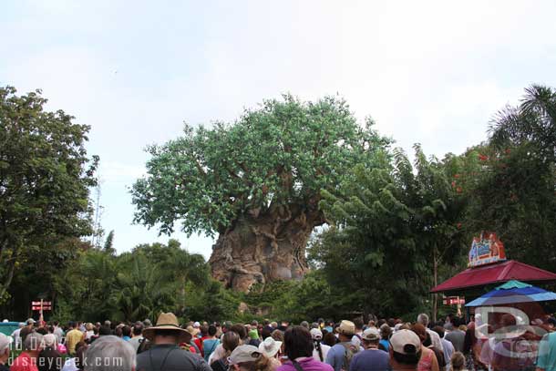 We made it just in time for the rope drop.  No ceremony or characters or anything... just a couple of cast members up there this morning.