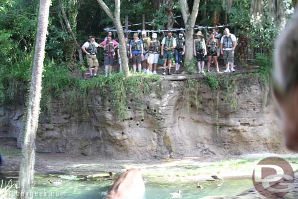 Another African Trek, this time by the hippos