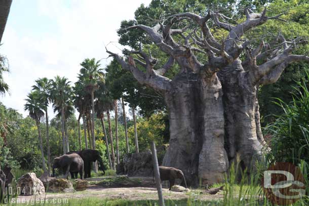 Elephants out this time around, last time they were still making their way out.