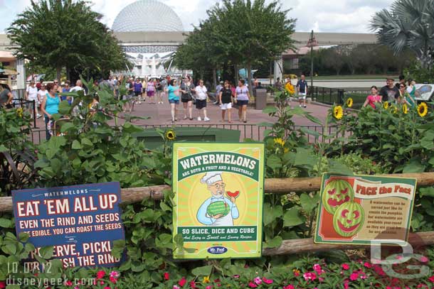 I never stopped to read the signs at the watermelon garden.
