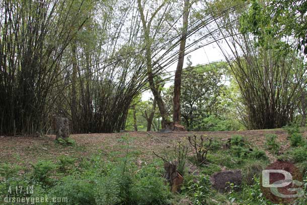 As you exit and look into the back of Pangani, notice quite a few trees had been cut down.