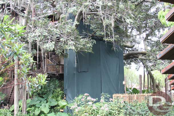 Walking through Adventureland