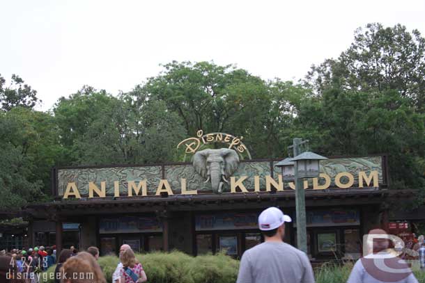 Today marked the 15th Anniversary of Animal Kingdom.  There was a healthy crowd lined up well before park opening.