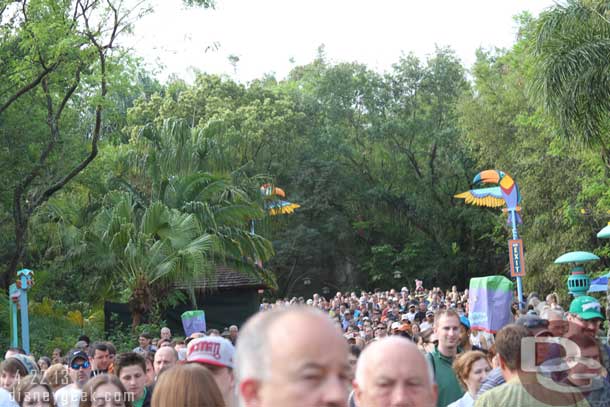 The mass of guests still marching in.