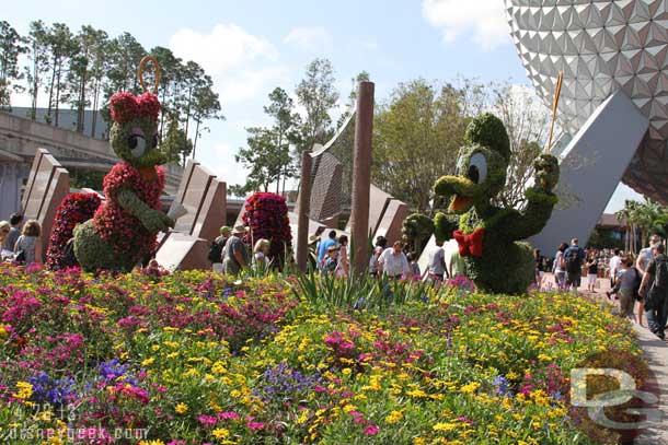 Donald and Daisy topiaries.