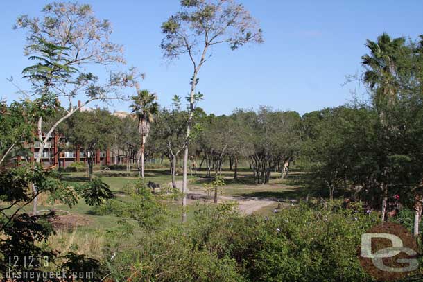 Looking out to the savanna