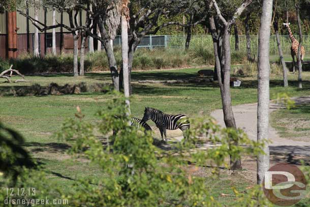 Some animals in the distance.