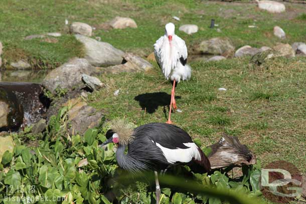 A crane in the foreground.