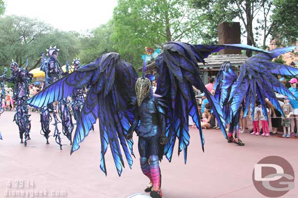 A raven dancer