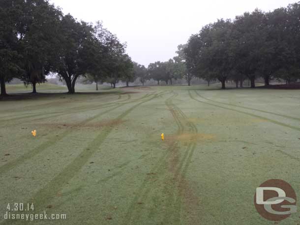 On a couple holes we were almost up to the gold tees.