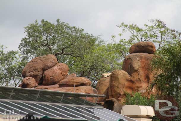 A sleeping lion seen from the train.