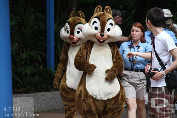 Chip and Dale out for pictures and dancing.