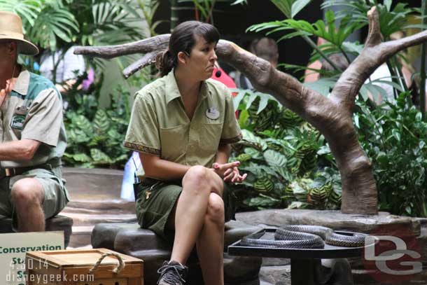 An animal encounter going on inside.