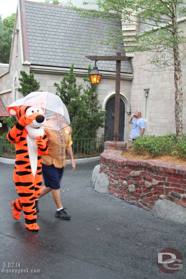 It started to drizzle.   Tigger passing by.