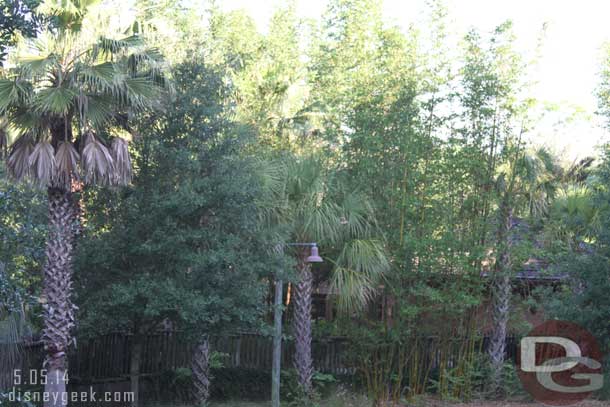 Our view.. beyond the trees a the pool area.