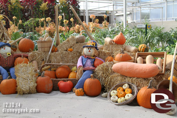 A fall display in one greenhouse