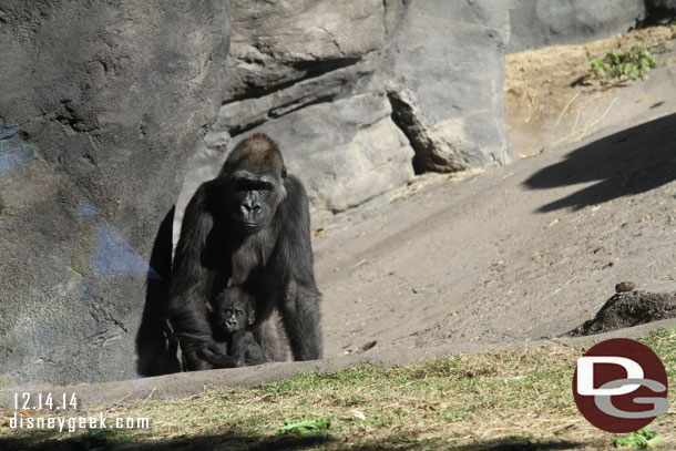 The other baby and mother.