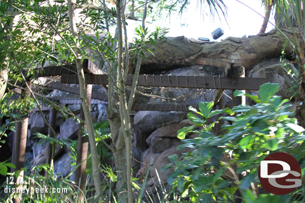 Some of the nets on the back side trail are gone while others closer to the tree remain