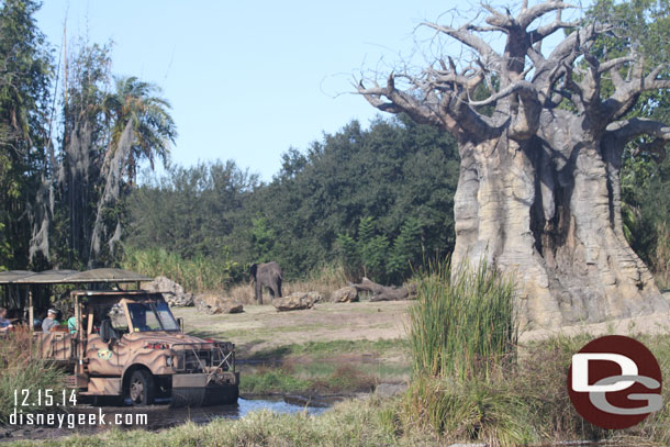 Elephants