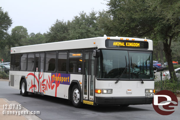 After checking in and dropping our bags it was time to head for a park.  It was just after 8am.   We were going to the Magic Kingdom so of course three Animal Kingdom buses stopped.