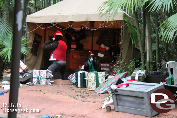 The gorillas have gotten into the holiday spirit.