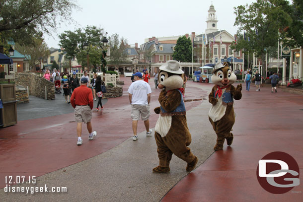 Chip and Dale crossed our path.