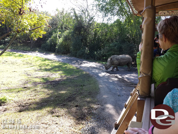 Had to wait for this rhino to cross the road.