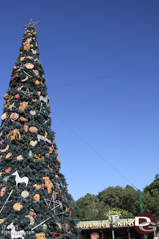 The Animal Kingdom tree looks the same as the last few years.  