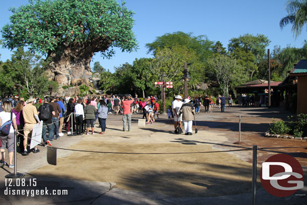 Ongoing pavement replacement as you enter Discovery Island.