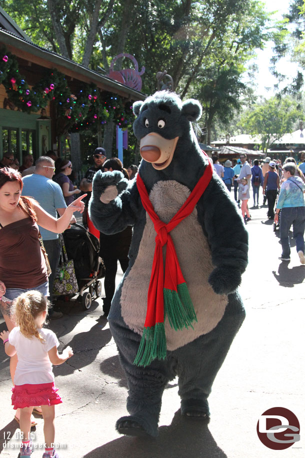 Baloo heading to his photo spot.