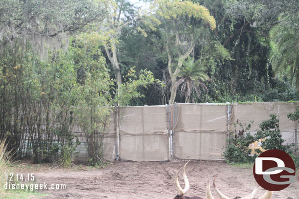 Hopefully this is just a temporary work area.  The savanna seemed to have a lot of back of house items visible this year.