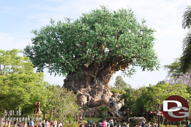 They opened the gate about 15 minutes early and allowed you to head up to Discovery Island.  The paths were blocked there till 9am.