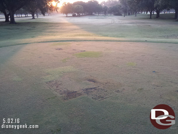 Some of the greens were in need of some help.