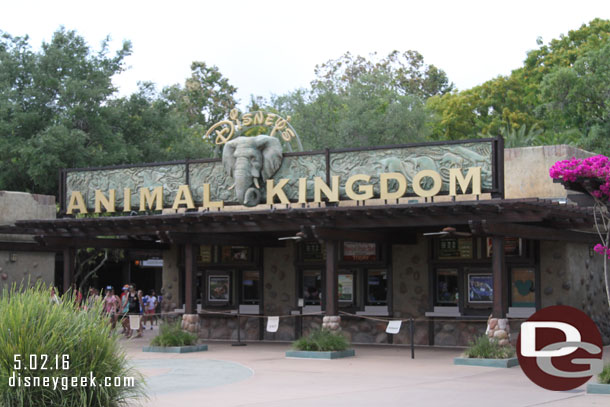 Arrived at the Animal Kingdom around 3:45pm.