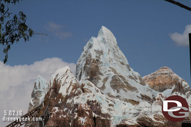 Expedition Everest in the distance.