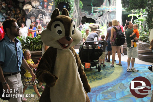 Chip and Dale were roaming around and taking pictures.