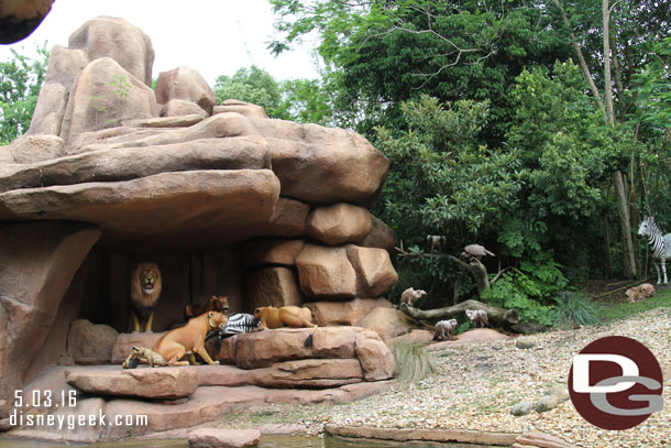 These lions almost had more movement than the ones I saw at Animal Kingdom this morning.