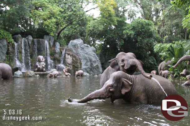 The elephant bathing pool