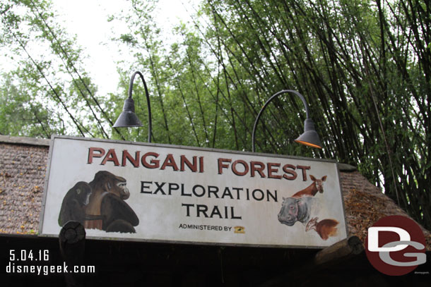 Decided to walk through Pangani Forest