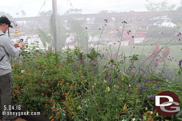 Since the weather was holding stopped by the butterfly tent.