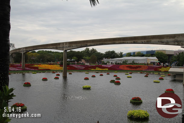 Plenty of floating baskets this year.