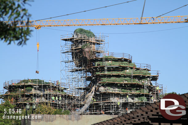 Took some time to check out the Pandora - The World of Avatar construction while I waited for a friend and the park to open.