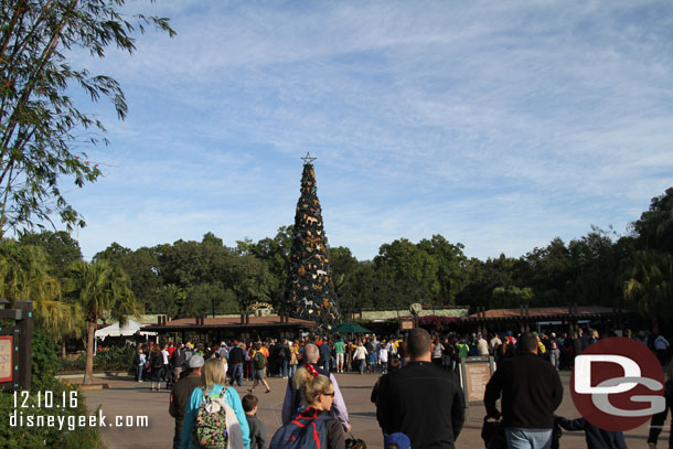 The Animal Kingdom Christmas tree.