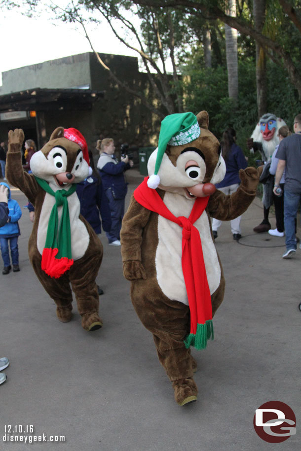 Chip and Dale coming out to greet guests in their holiday costumes.