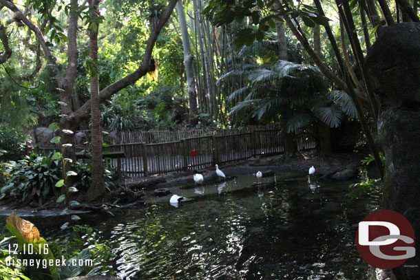 Walking through the Oasis.