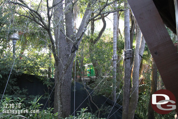 Looking toward Pandora from the lounge entrance, you cannot see the bridge, I will stop back another time to see it.