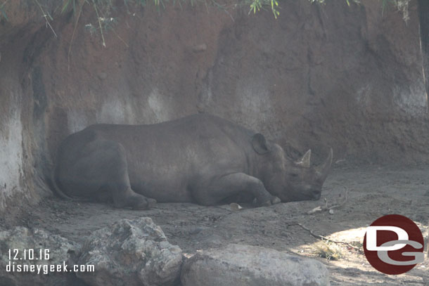 Used a FastPass+ for the Kilimanjaro Safari.  A black rhino.