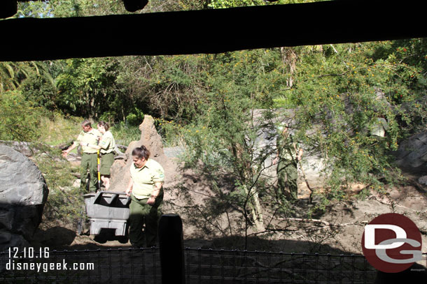 Renovation work going on in the meerkat area.