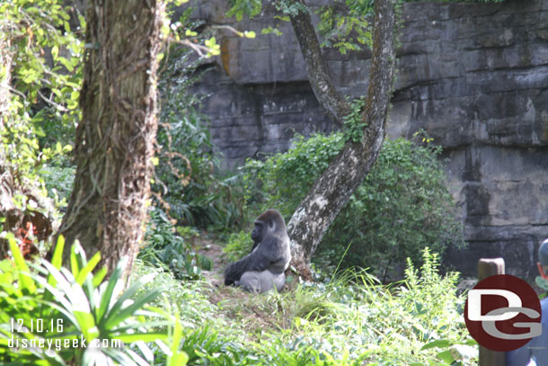 A bachelor sitting on the other side.